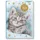 Trötsch Verlag Taschenkalender A7 Katze 2027