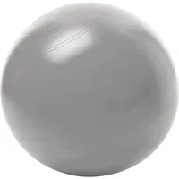 Togu Sitzball ABS 408651 kein Wegrollen 65cm Größe L