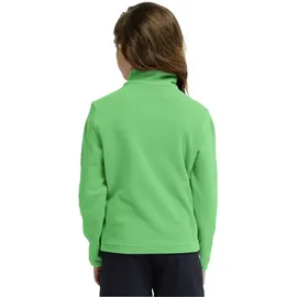 Jack Wolfskin Taunus 100 Green 152