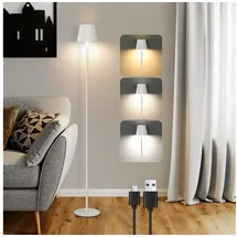 Homefire LED Stehlampe Dimmbar Wohnzimmer Stehleuchte: Schwarz Standleuchte Modern USB Akku Steh lampe mit 3 Farbtemperaturen 3000K-6500K für Schlafzimmer Arbeitszimmer und Büro