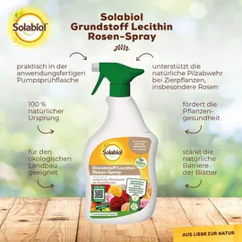Solabiol Lecithin Rosen-Spray 1 l