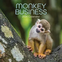Browntrout Verlags GmbH Monkey Business 2026 - 16-Monatskalender