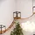 QLS Katzen Kletterwand Set XXL Hängebrücke Katzenbett Katzenregal Wandmontage 11163 - Schwarz