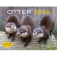 HEEL VERLAG Otter Kalender 2026 Wandkalender Eintragkalender