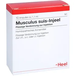 Musculus suis-Injeel
