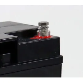Quality Batteries 12LCP-23 12V 23000 mAh 1 St.