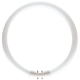 Philips by Signify Master TL5 Circular 55W/840 2GX13