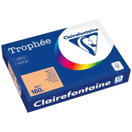 Clairefontaine Trophée Pastell A4 160 g/m2 250 Blatt