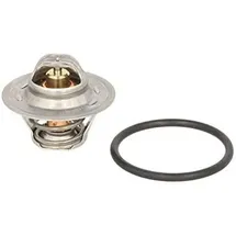 Calorstat TH6276.87J Thermostat, Kühlmittel