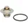 Calorstat TH6276.87J Thermostat, Kühlmittel