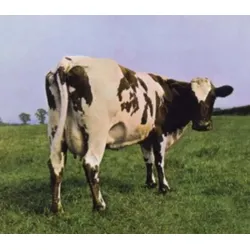 Pink Floyd: Atom Heart Mother