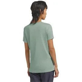 Jack Wolfskin Peak Graphic Kurzarm-t-shirt - New Mountain Green Zinnia - 2XL