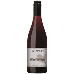 Weingut Kiefer - Spätburgunder Trocken 2019 Eichstetter Herrenbuck
