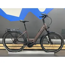 Pegasus Strong Evo 5R 28 Zoll RH 55 cm Damen steel blue