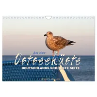 Calvendo An der Ostseeküste - Deutschlands schönste Seite (Wandkalender