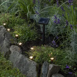 Star Trading LED-Solar-Lichterkette 'Mini Spot', Kunststoff - Schwarz