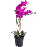 Kunstorchidee Orchidee Bora Orchidee, Botanic-Haus, Höhe 60 cm rosa