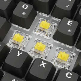 Sharkoon Skiller SGK50 S3 PBT schwarz, RGB, hot-swap, Gateron G Pro 3.0 Yellow DE (4044951040964)