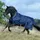 Bucas Irish Turnout Light 50g Regendecke 120 cm Navy/Gold