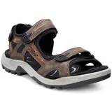 ECCO Offroad Herren espresso/cocoa 42