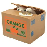 Kruzzel Elektronische Katzen Spardose Katze Sammelt Geldmünzen Batteriebetrieben 22468