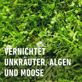 Compo Floranid Rasendünger Unkraut + Moos 9 kg