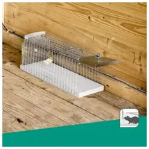WINDHAGER Drahtkasten-Rattenfalle 05085