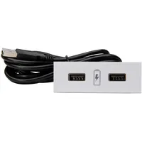 Kopp 939730016 VersaPICK USB-Ladestation zum Einbau in Arbeitsplatten, Schreibtischen