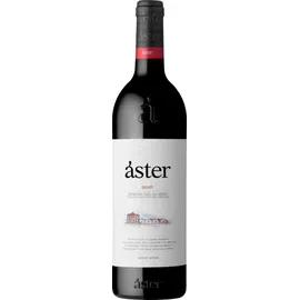 La Rioja Alta Aster Li PRZK0K50 partydekorationen