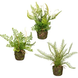 Künstliche Zimmerpflanze CREATIV GREEN "Set aus Farnpflanzen auf Wurzelballen", grün, H:22cm, Kunststoff, Kunstpflanzen, 3er Set