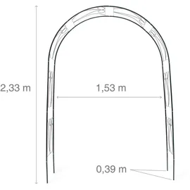 Relaxdays Rankbogen Rosen 233 x 153 x 39 cm Dunkelgrün