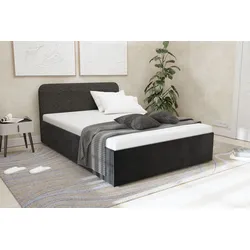 Polsterbett "Shawn", schwarz, L:210cm, Bezug Kopfteil: Teddy-Stoff: 100% Polyester, Bezug Bettgestell: Microvelours 100% Polyester, Polsterung: Polsterwatte, Material Gestell: gepolsterter Holzwerkstoff, WESTFALIA SCHLAFKOMFORT, Betten, zwei verschiedene Liegehöhen wählbar