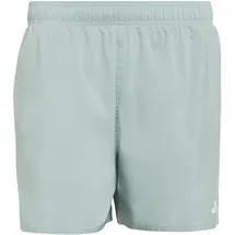 adidas - 5-Inch, Badeshorts Herren wonder sage - grün
