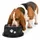 Karlie hundenapf - Kena schwarz & Silber - für langohrige Hunde - Edelstahl - futternapf Hund - 900 ml