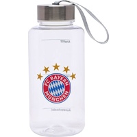 FC Bayern München Trinkflasche | Thermosflasche, (0.70 l)