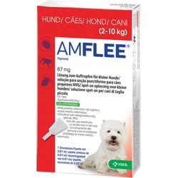 Amflee 67 mg Lösung zum Auftropfen für Kleine Hunde