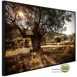 papermoon Infrarotheizung »EcoHeat - Wald in Landschaft«, Matt-Effekt - bunt