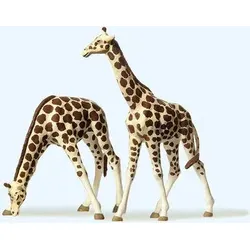 PREISER 20385 H0 Giraffen