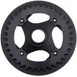 Miranda Kettenblatt Epsilon