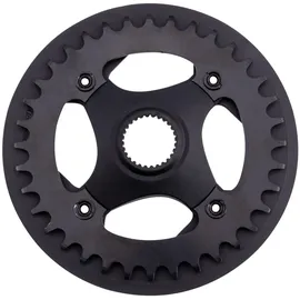 Miranda Kettenblatt Epsilon