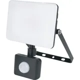 Müller-Licht Orlando 21600074 LED-Außenstrahler mit Bewegungsmelder 30 W Neutralweiß