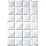 billerbeck Bettdecke Gabriela 90 - Daunendecke - 135 x 200 cm – Ganzjahresdecke – 90% Gänsedaunen & 10% Gänsefedern - mittlere Wärmestufe