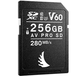 256 GB V60 SD Karte AV Pro UHS-II