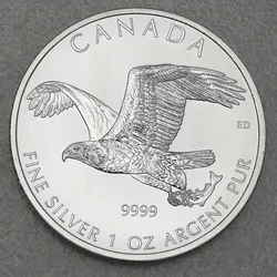 Silbermünze 1oz Bald Eagle 2014 Birds of Prey (Kanada)
