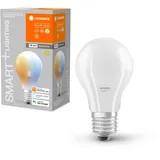 LEDVANCE SMART+ 4058075619036