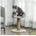 PawHut Kratzbaum klein 49 cm grau