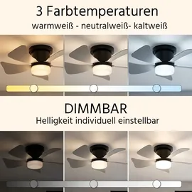 GLOBO LED Ventilator 40,6 cm Deckenventilator Schwarz