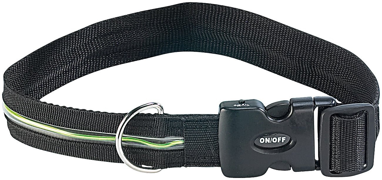 infactory Hundeleuchtband: Sicherheits-LED-Leucht-Hundehalsband Neon Light (LED Halsband, Leuchtendes Hundehalsband, Lichtschlauch)