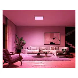 Philips Hue White & Color Ambiance Surimu 60 x 60 cm