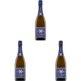 Prinz Salm Der Wildgraf Brut nature Winzersekt, Sekt von der Nahe Deutschland brut nature (1 x 0.75 l) (Packung mit 3)
